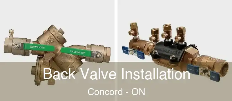  Back Valve Installation Concord - ON