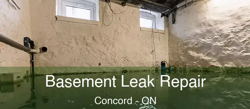 Basement Leak Repair Concord - ON