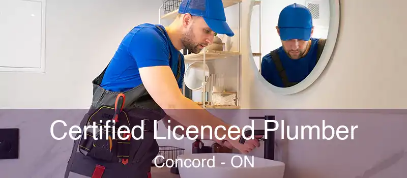  Certified Licenced Plumber Concord - ON