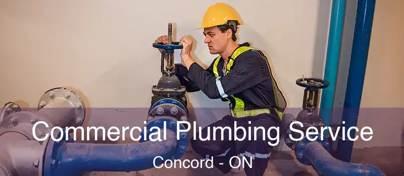 Commercial Plumbing Service Concord - ON