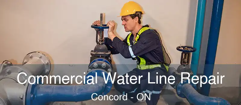  Commercial Water Line Repair Concord - ON