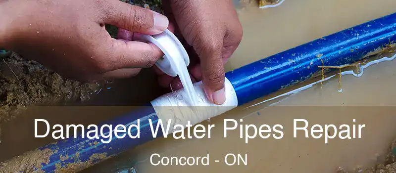 Damaged Water Pipes Repair Concord - ON