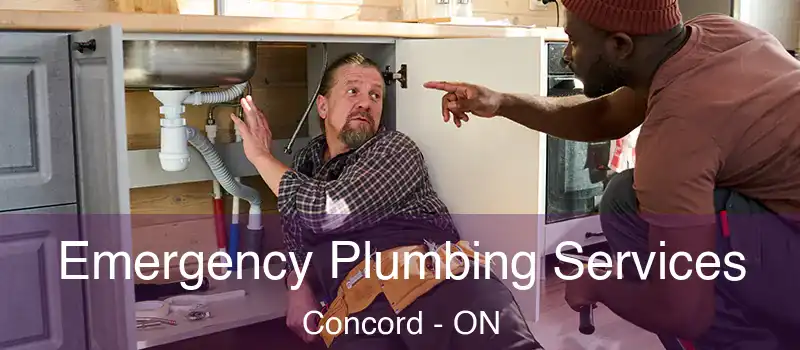 Emergency Plumbing Services Concord - ON