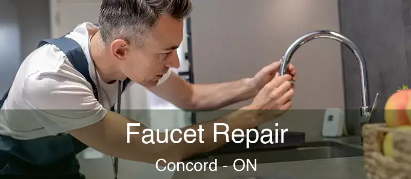  Faucet Repair Concord - ON