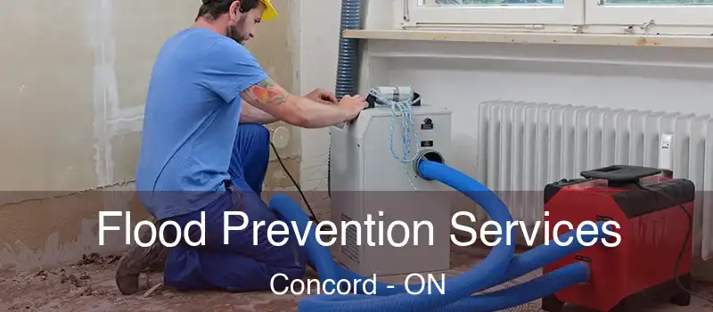  Flood Prevention Services Concord - ON