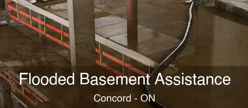  Flooded Basement Assistance Concord - ON