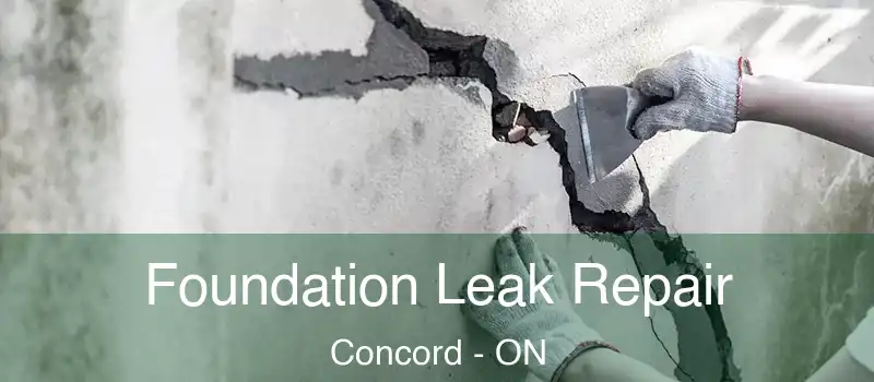  Foundation Leak Repair Concord - ON