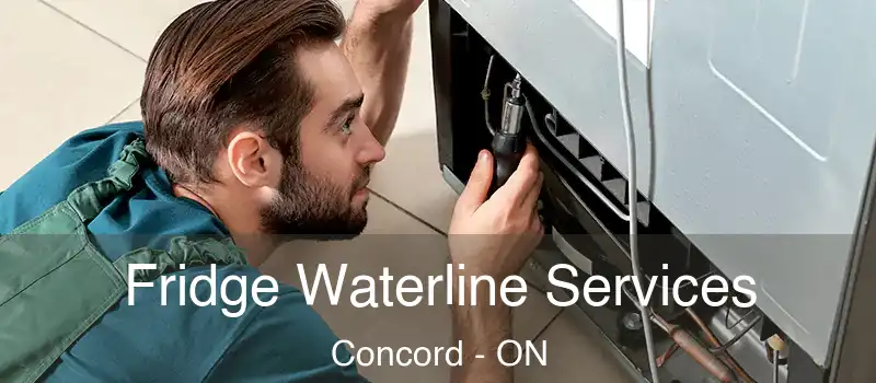 Fridge Waterline Services Concord - ON