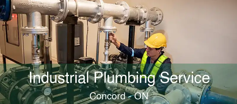 Industrial Plumbing Service Concord - ON