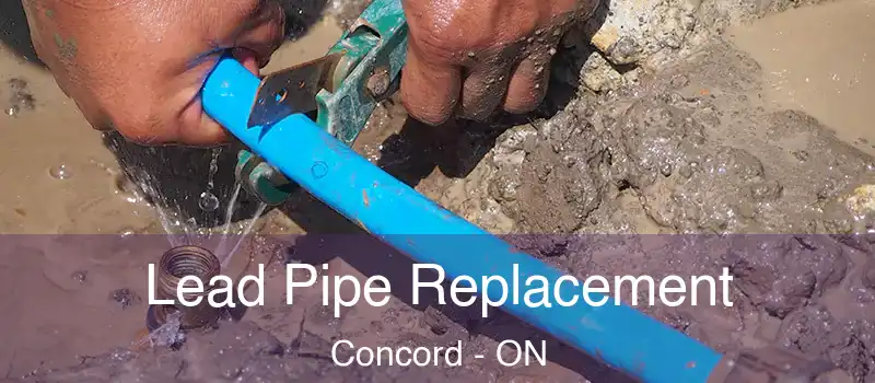 Lead Pipe Replacement Concord - ON