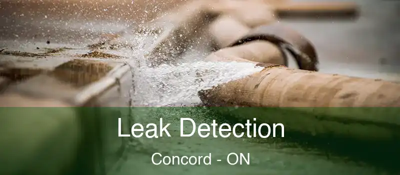 Leak Detection Concord - ON