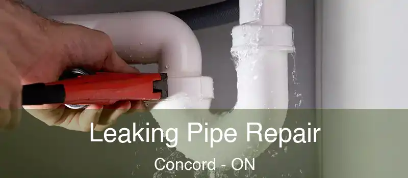 Leaking Pipe Repair Concord - ON