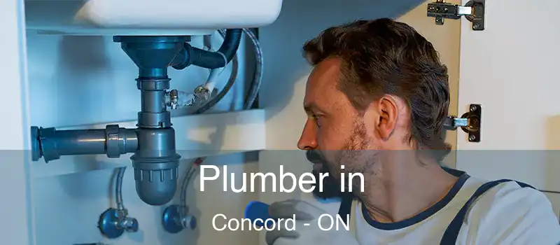  Plumber in Concord - ON