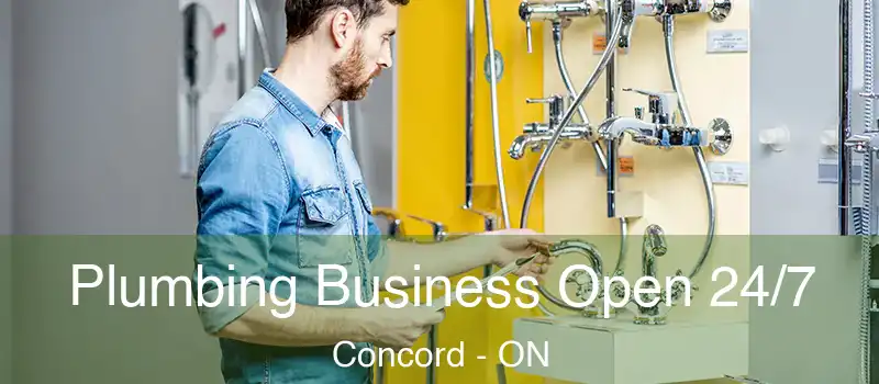 Plumbing Business Open 24/7 Concord - ON