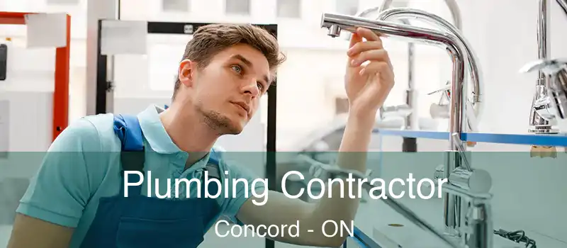  Plumbing Contractor Concord - ON