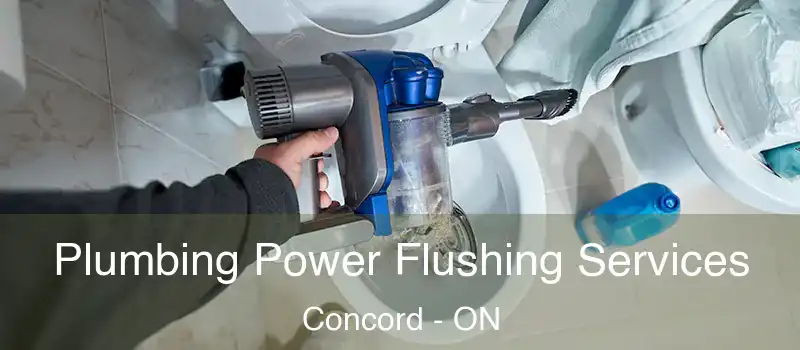 Plumbing Power Flushing Services Concord - ON