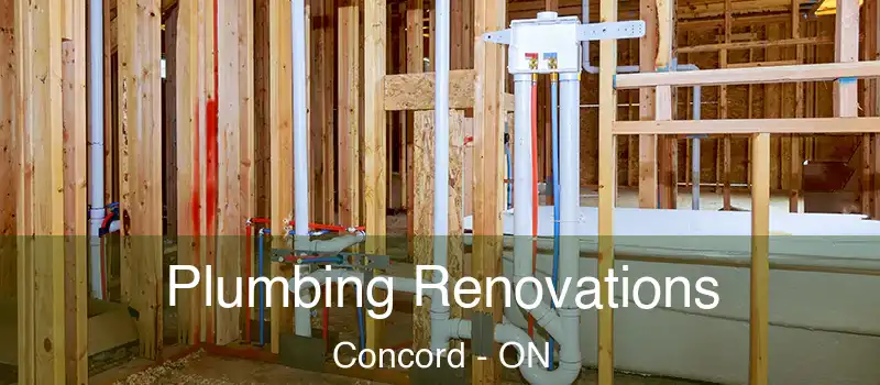 Plumbing Renovations Concord - ON