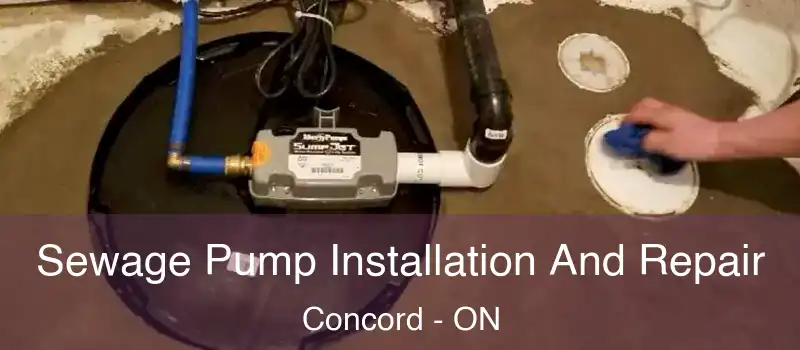  Sewage Pump Installation And Repair Concord - ON