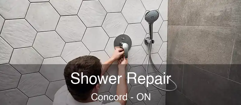 Shower Repair Concord - ON