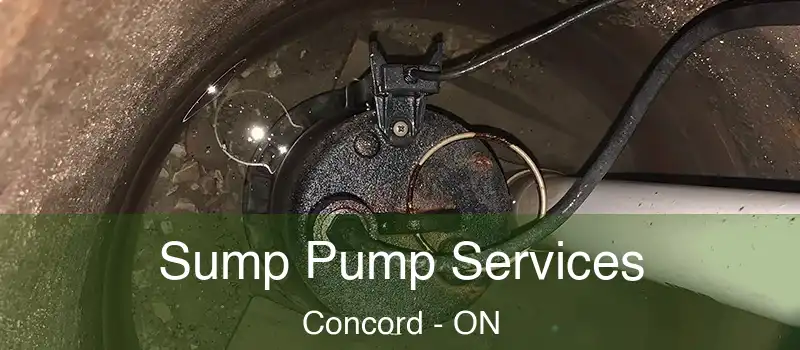  Sump Pump Services Concord - ON