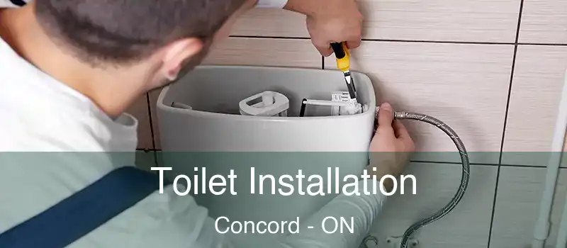 Toilet Installation Concord - ON