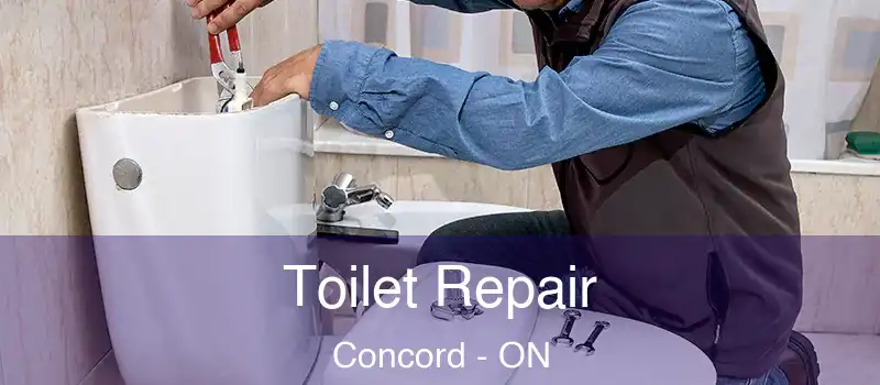  Toilet Repair Concord - ON