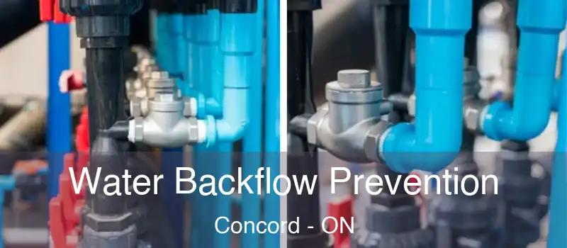 Water Backflow Prevention Concord - ON