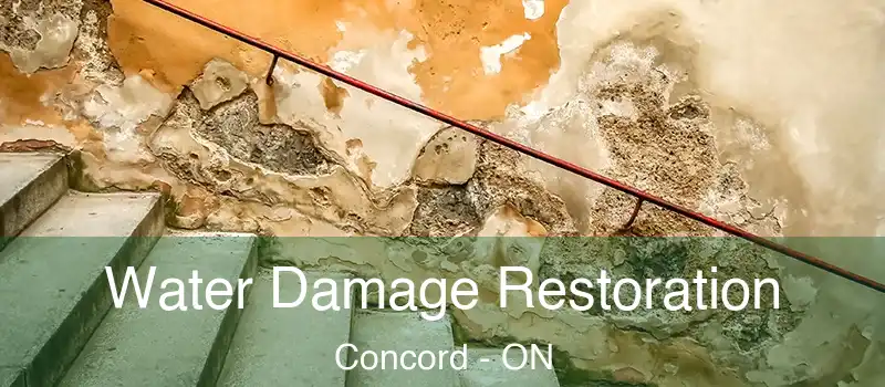 Water Damage Restoration Concord - ON
