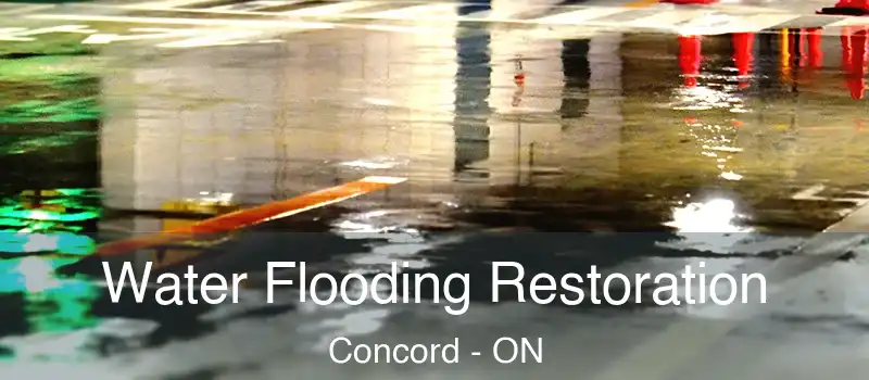  Water Flooding Restoration Concord - ON