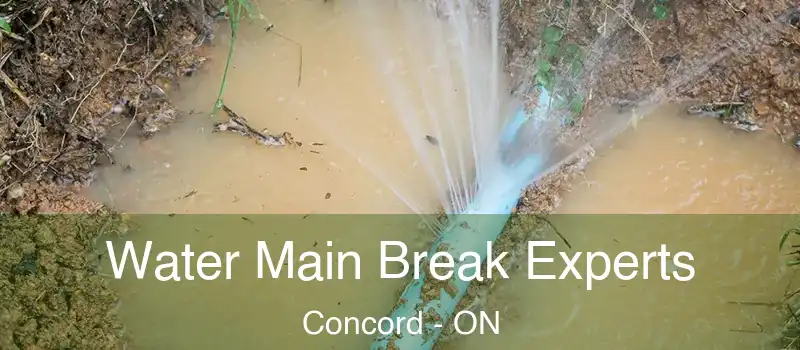 Water Main Break Experts Concord - ON