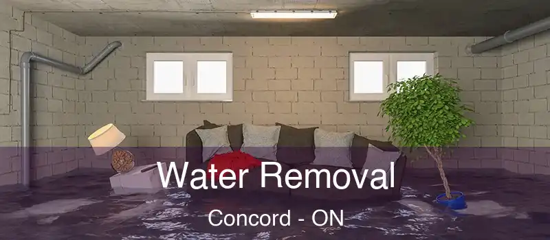 Water Removal Concord - ON