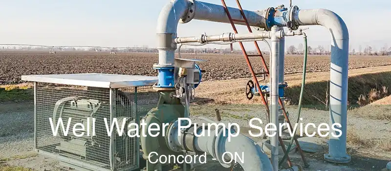  Well Water Pump Services Concord - ON